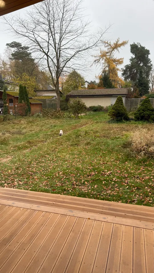 Social-Vorschau: Gartenblick